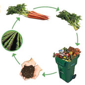 2020 Compost Giveaway_Thumb