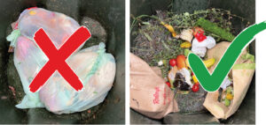 plastic bag in organics bin with big red X